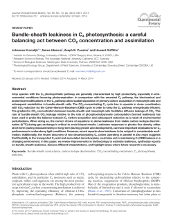 Bundle-sheath leakiness in C4 photosynthesis
