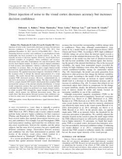 Direct injection of noise to the visual cortex decreases accuracy but