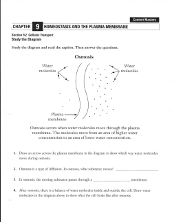 Osmosis
