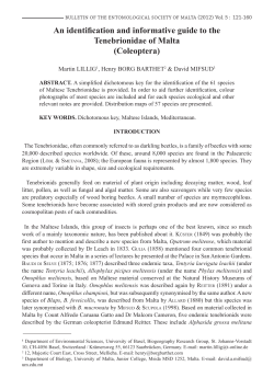 An identification and informative guide to the