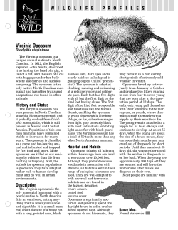 profiles set 6 - North Carolina Wildlife Resources Commission