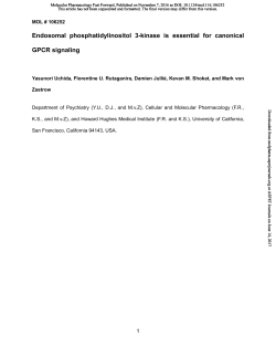 Endosomal phosphatidylinositol 3-kinase is essential for canonical
