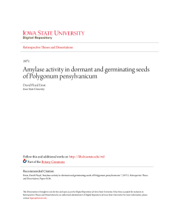 Amylase activity in dormant and germinating seeds of Polygonum