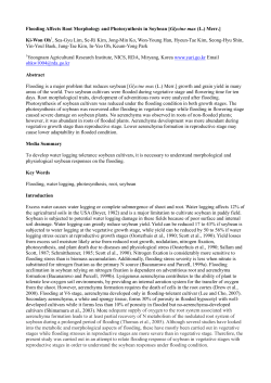 Flooding Affects Root Morphology and Photosynthesis in Soybean