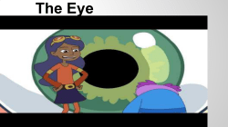 The Eye