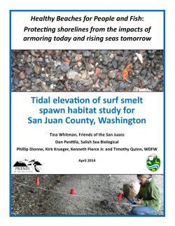 Tidal elevation of surf smelt spawn habitat study for San Juan