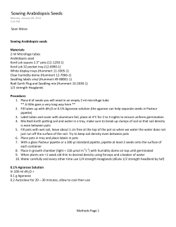 Sowing Arabidopsis Seeds