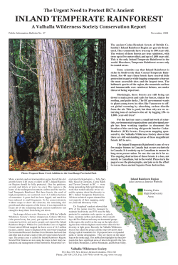 inland temperate rainforest - Valhalla Wilderness Society