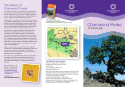 Charnwood Peaks, 15 Mile Long Walk, The National Forest