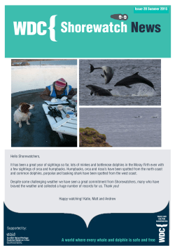 Newsletter - Summer 2015 - Whale and Dolphin Conservation