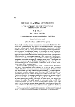 studies in animal locomotion - Journal of Experimental Biology