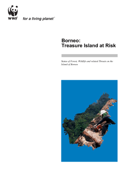 Borneo: treasure island at risk - the basic PDF update here.