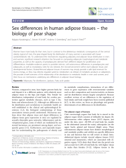 Sex differences in human adipose tissues &ndash; the