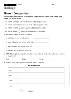 Unit 1-18 Flower Comparison