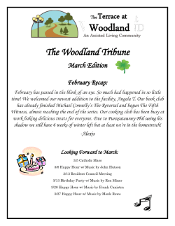 The Terrace at Woodland