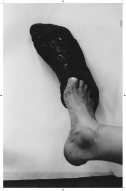 Exhibition text by Thomas Killian Roach, Document