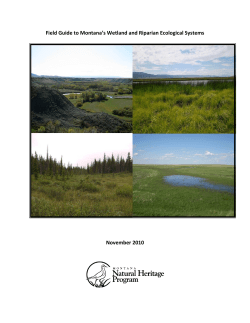 Field Guide to Montana`s Wetland and Riparian Ecological Systems