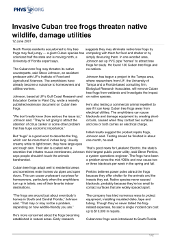 Invasive Cuban tree frogs threaten native wildlife