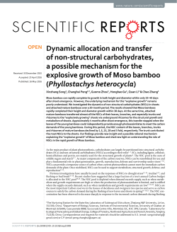 Dynamic allocation and transfer of non-structural
