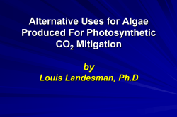 Alternative Uses for Algae Produced For Photosynthetic CO2