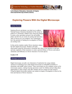 Exploring Flowers With the Digital Microscope