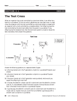 3-1 Enrich: The Test Cross
