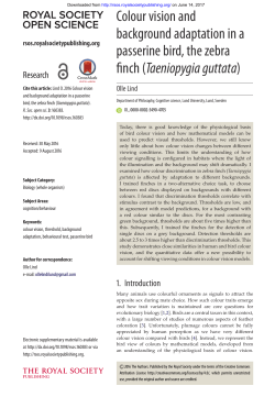 Colour vision and background adaptation in a passerine bird, the