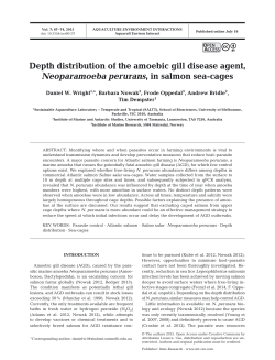 Depth distribution of the amoebic gill disease agent, Neoparamoeba