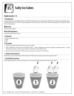 Salty Ice Cubes - The NEED Project