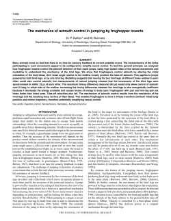 The mechanics of azimuth control in jumping by froghopper insects
