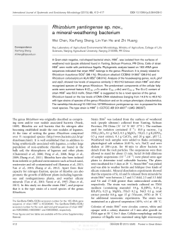 Rhizobium yantingense sp. nov., a mineral