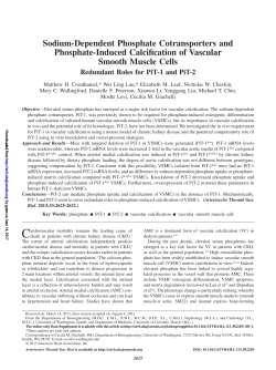 Sodium-Dependent Phosphate Cotransporters and Phosphate