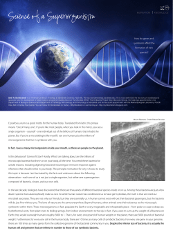 science of a superorganism - Seth Bordenstein
