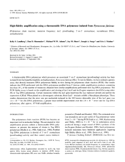 High-fidelity amplification using a thermostable DNA polymerase