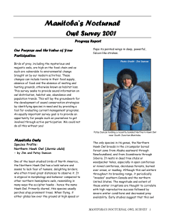 Manitoba`s Nocturnal Owl Survey
