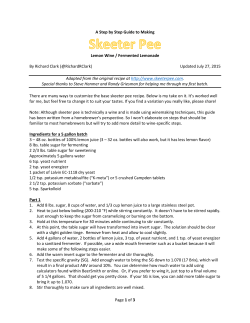 Skeeter Pee Recipe