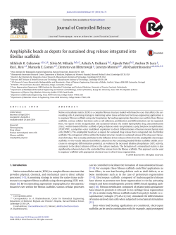 Amphiphilic beads as depots for sustained drug release integrated