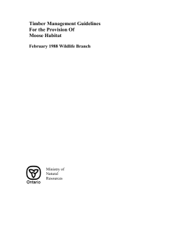 Timber Management Guidelines for the Provision of