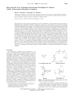 Hard and Soft X-ray Absorption Spectroscopic Investigation of