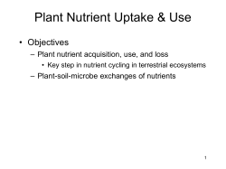 Plant-soil-microbe exchanges of nutrients