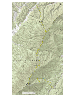 Chimney Hollow/Elliot Knob Hike