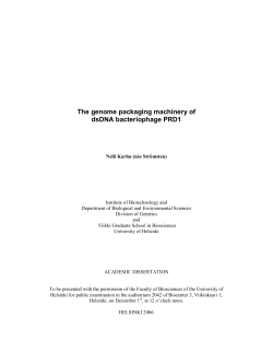 The genome packaging machinery of dsDNA bacteriophage PRD1