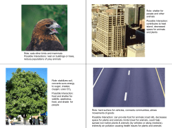 Role: shelter for people and other animals Possible Interaction