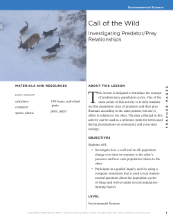 Activity 4 Call of the Wild