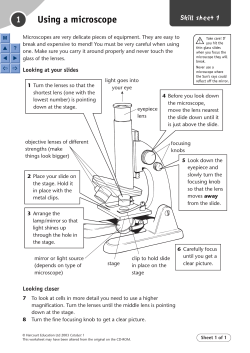 Skill sheet 1
