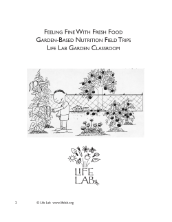 FEELING FINE WITH FRESH FOOD GARDEN