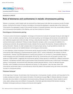 Role of telomeres and centromeres in meiotic chromosome pairing
