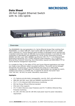 Data Sheet 28 Port Gigabit Ethernet Switch with 4x 10G Uplink