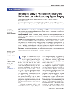 Histological Study of Arterial and Venous Grafts Before their Use in