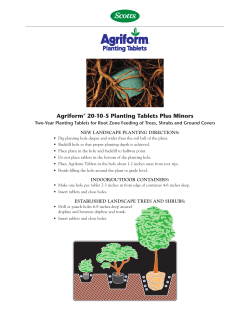 Agriform&reg; 20-10-5 Planting Tablets Plus Minors